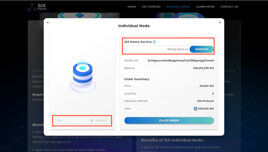 Input your SIX Name Service and Node Quantity